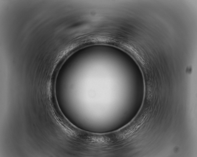 X0000100850439200806271139