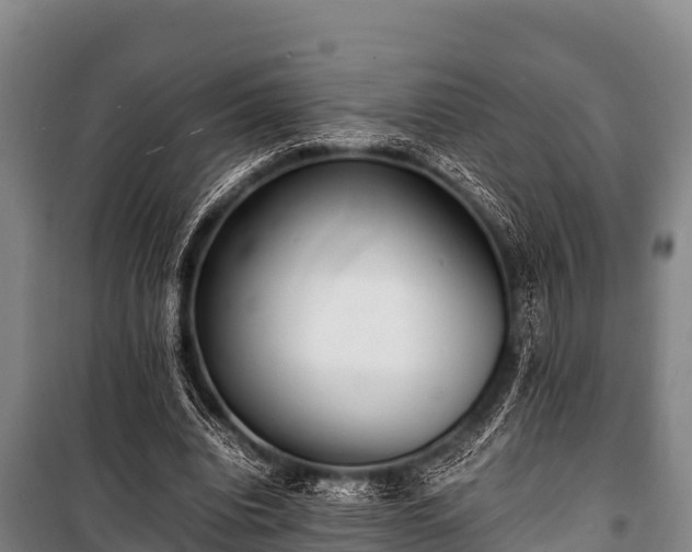 X0000100850440200806271139