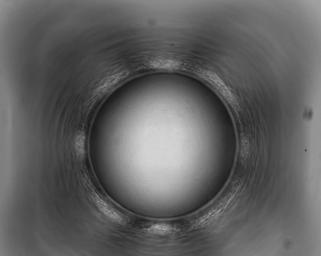 X0000100850441200806271139