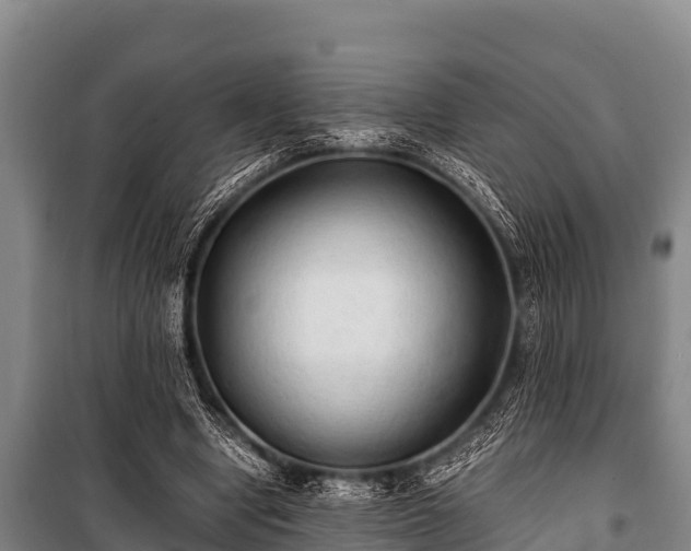 X0000100850442200806271139