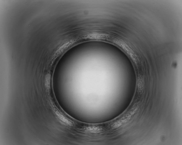 X0000100850445200806271139