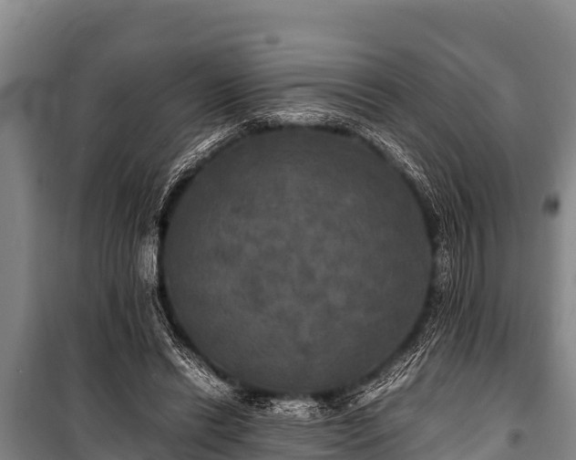 X0000100850446200806271139