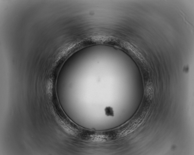 X0000100850448200806271139