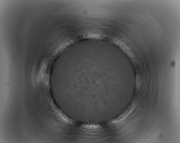 X0000100850449200806271139