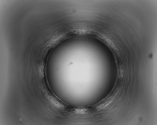 X0000100850450200806271139