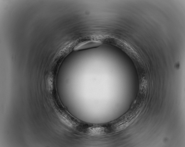 X0000100850452200806271139