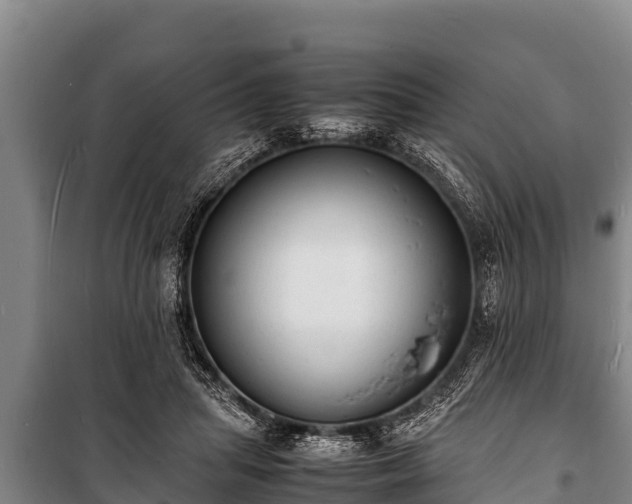 X0000100850455200806271139