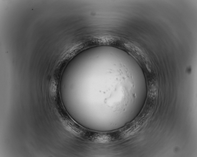 X0000100850456200806271139