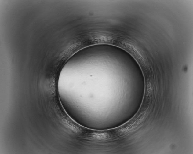 X0000100850457200806271139