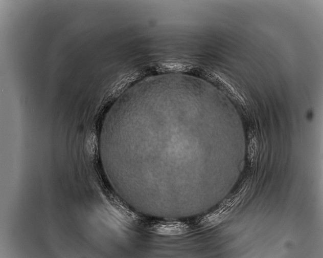 X0000100850459200806271139