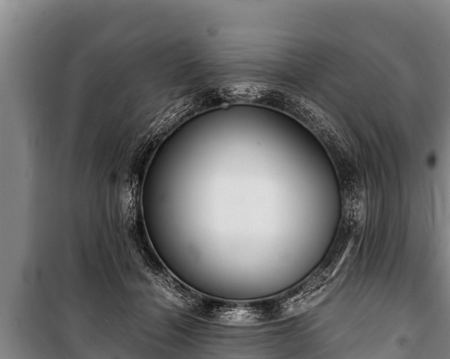 X0000100850460200806271139