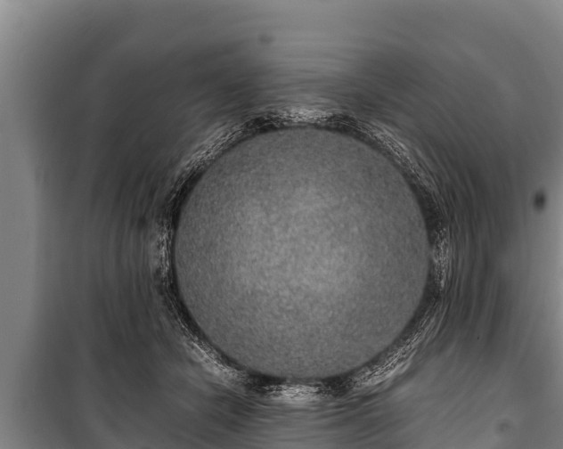 X0000100850462200806271139