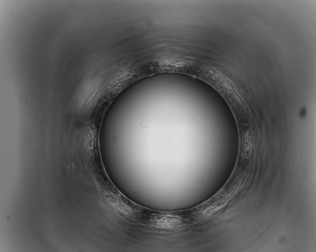 X0000100850463200806271140