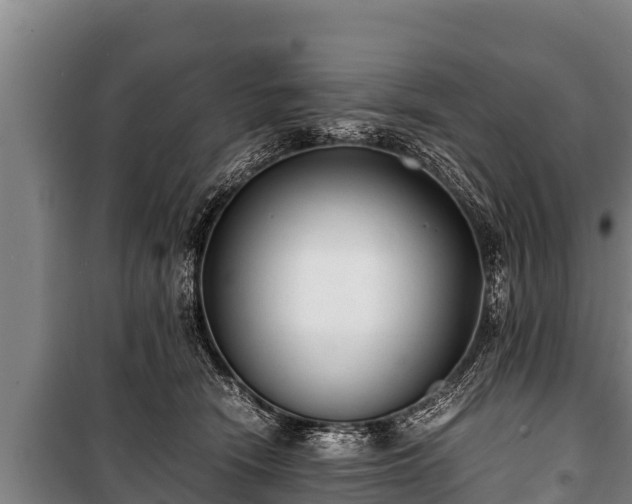 X0000100850466200806271140