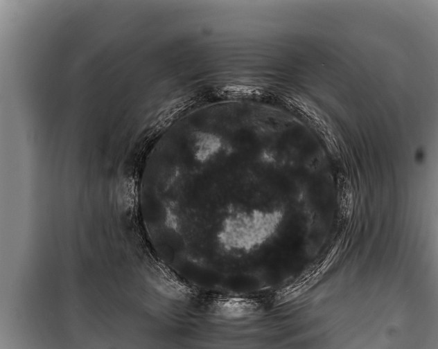 X0000100850467200806271140