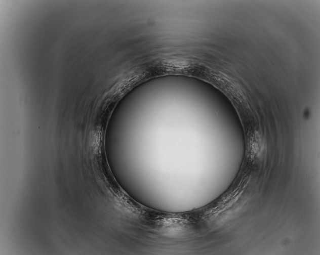 X0000100850468200806271140