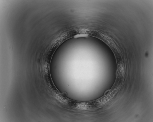 X0000100850470200806271140