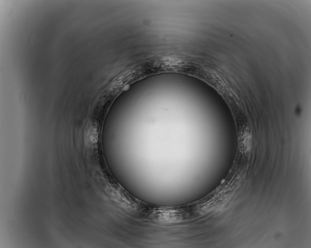 X0000100850472200806271140