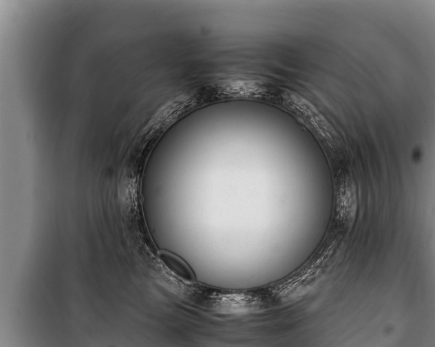 X0000100850473200806271140