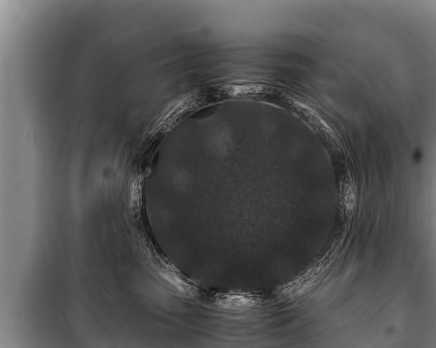 X0000100850475200806271140