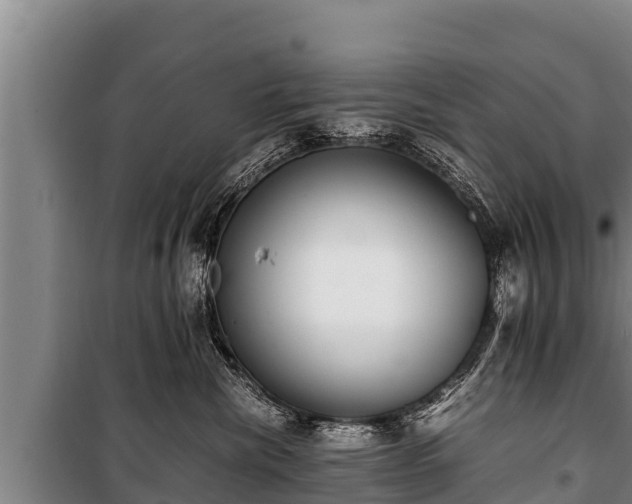 X0000100850476200806271140