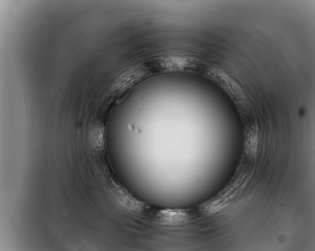 X0000100850477200806271140