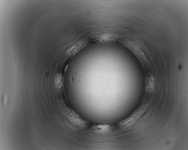 X0000100850478200806271140