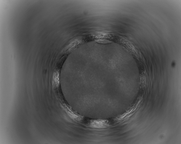 X0000100850479200806271140