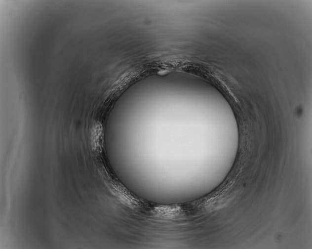 X0000100850480200806271140