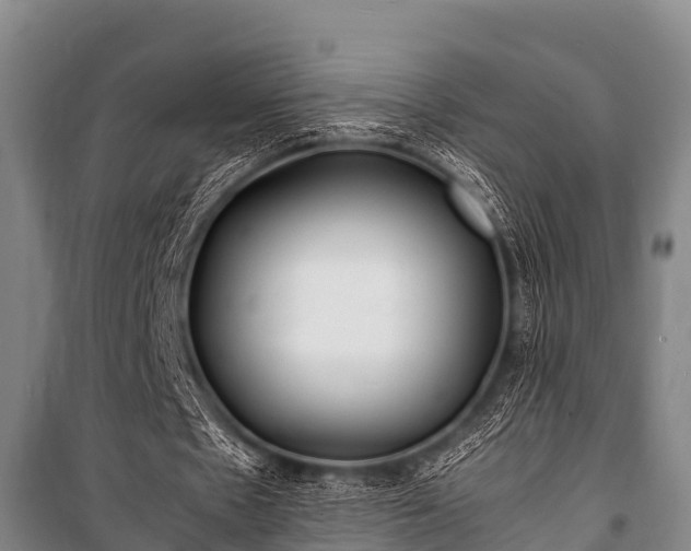 X0000100850481200806271139