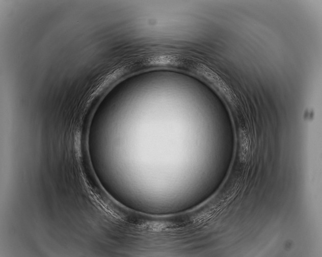 X0000100850482200806271139