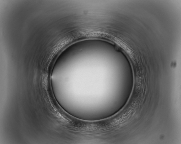 X0000100850485200806271139