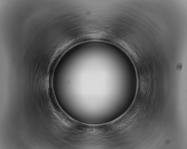 X0000100850486200806271139