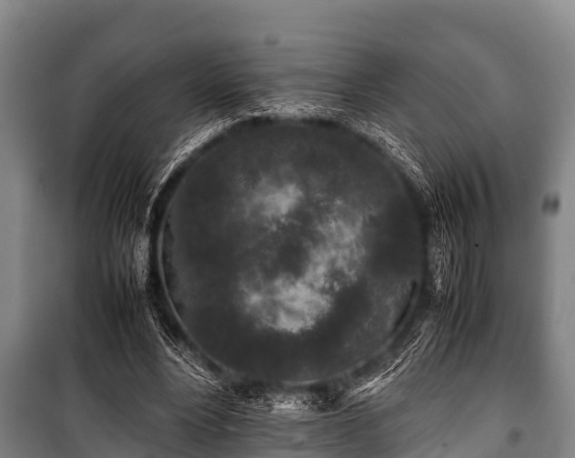 X0000100850488200806271139