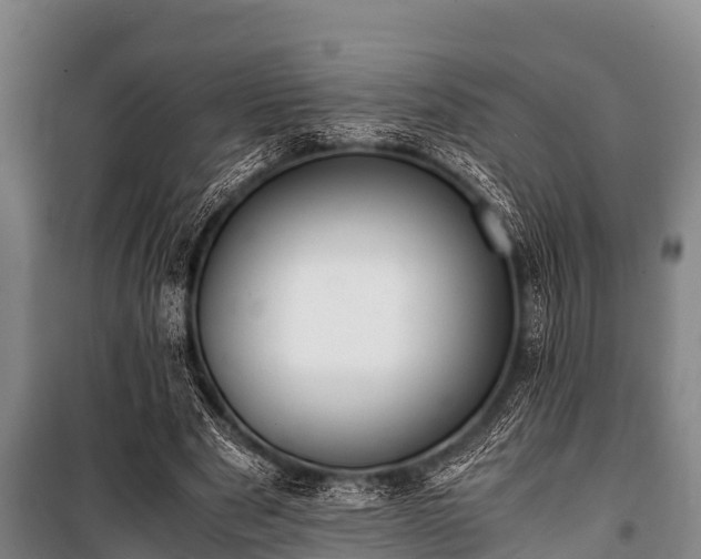 X0000100850489200806271139