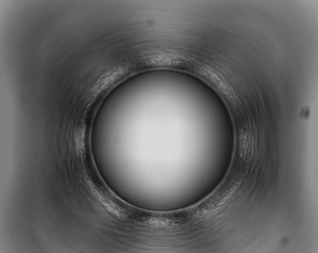 X0000100850490200806271139