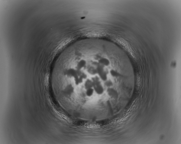 X0000100850491200806271139