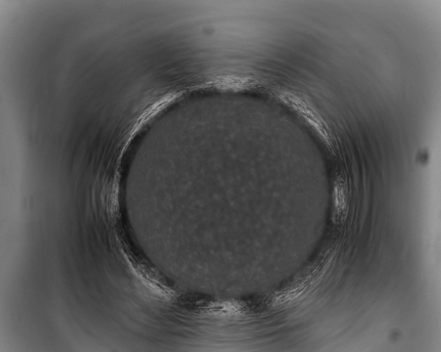 X0000100850492200806271139