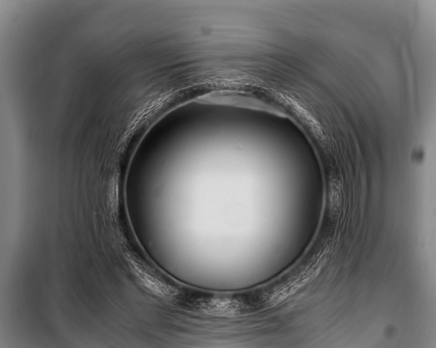 X0000100850493200806271139