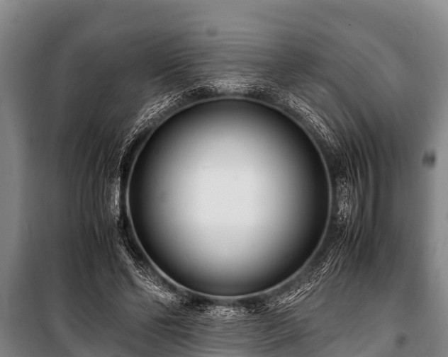 X0000100850494200806271139