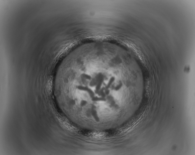 X0000100850495200806271139