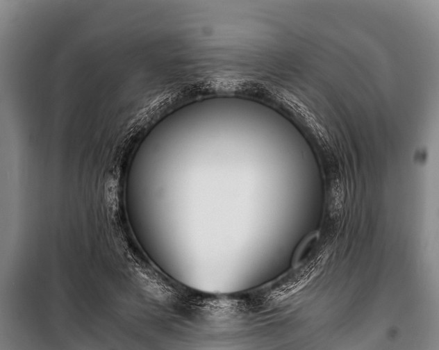 X0000100850497200806271139