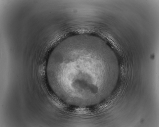 X0000100850499200806271139