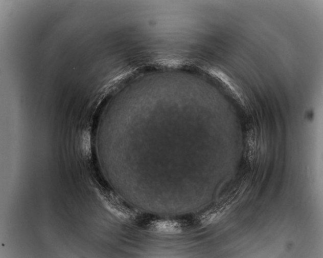 X0000100850500200806271139