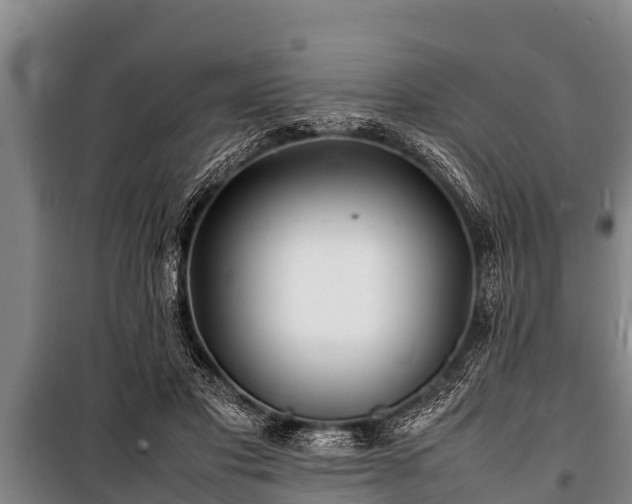 X0000100850501200806271139