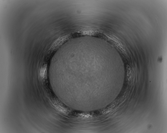 X0000100850502200806271139