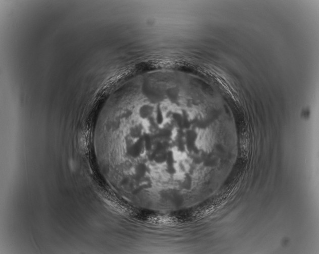 X0000100850503200806271139