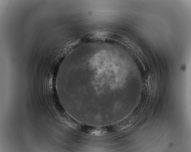 X0000100850504200806271139