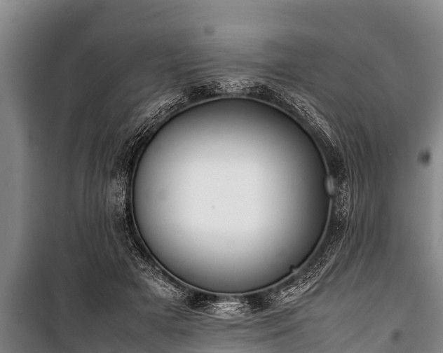 X0000100850505200806271139