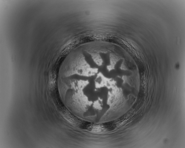 X0000100850507200806271139